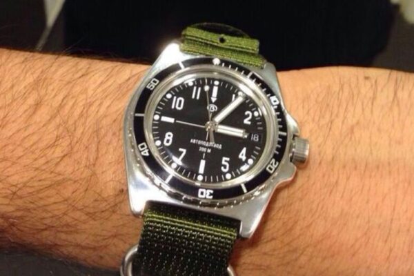 Vostok Amphibia